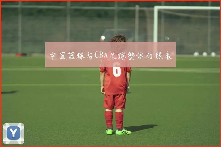 中国篮球与CBA足球整体对照表