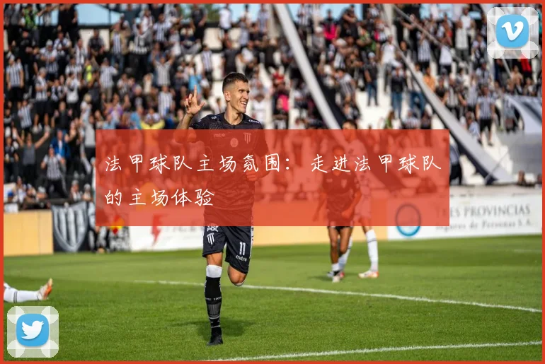 法甲球队主场氛围:走进法甲球队的主场体验