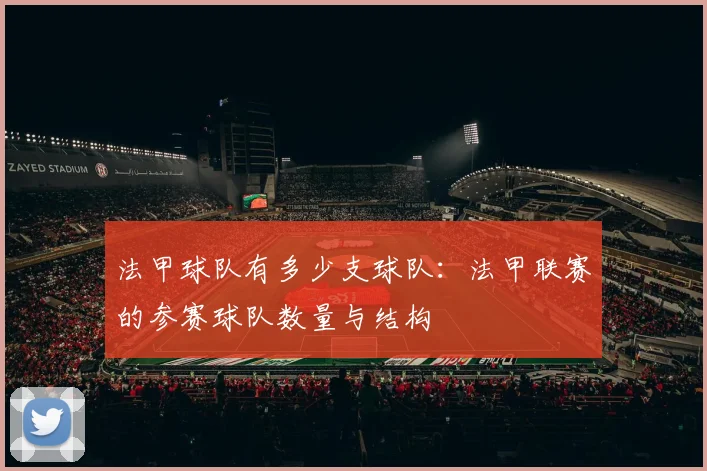 法甲球队有多少支球队：法甲联赛的参赛球队数量与结构